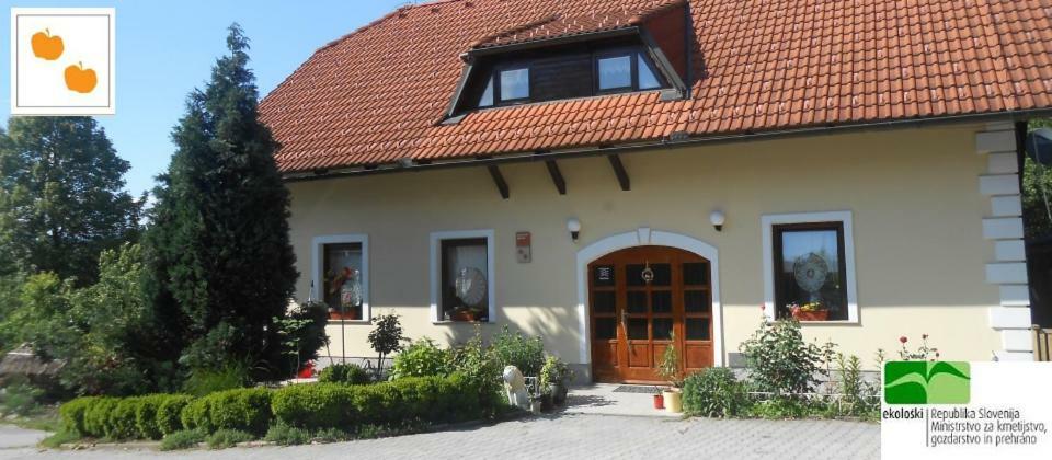 Country House Slemensek Vojnik Экстерьер фото